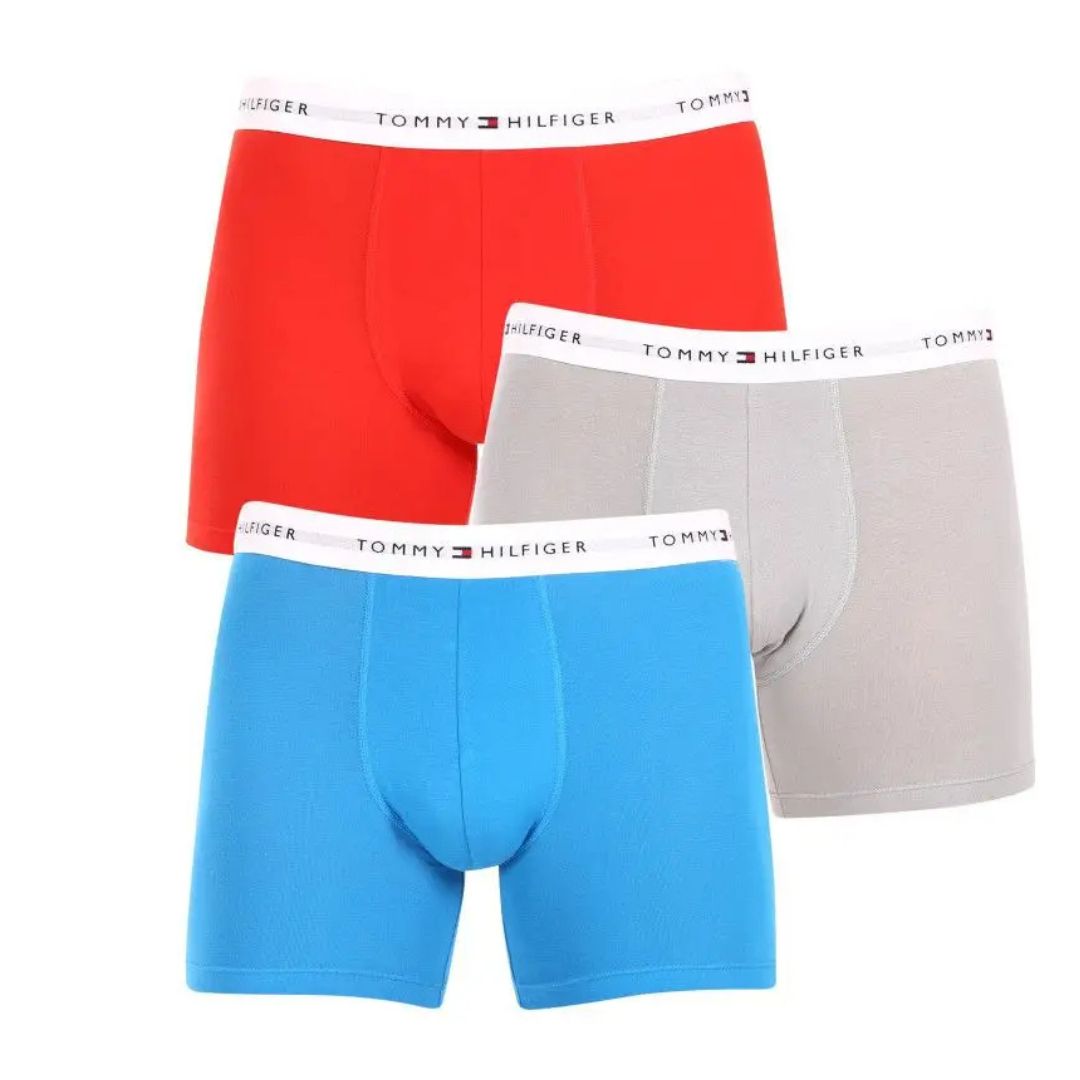 Tommy Hilfiger 3 db Boxer Brief Szett | Sokszínű