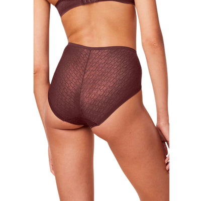 Triumph Női Signature Sheer Maxi Ex Alsó I Barna