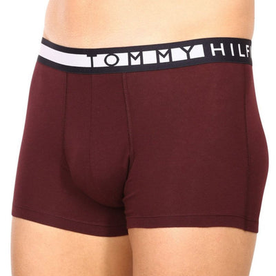 Tommy Hilfiger 3 db Trunk Szett | Sokszínű